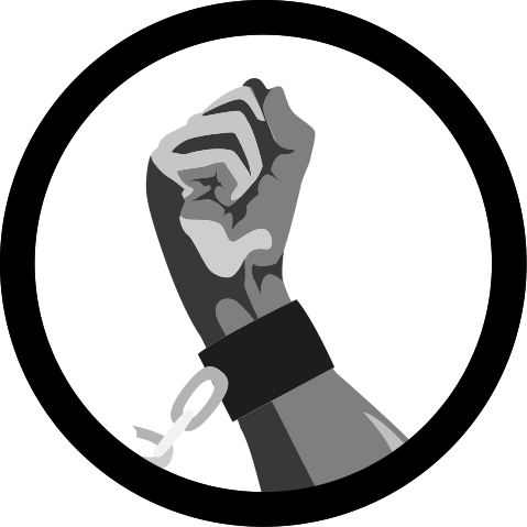 Skylaxx Logo